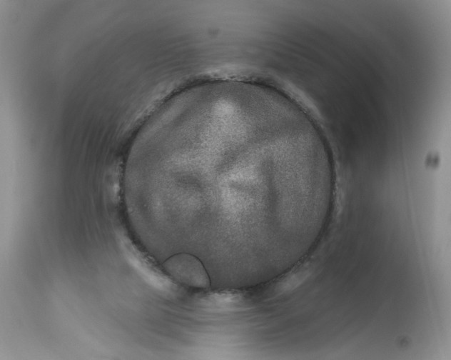 X0000112800065200909111245