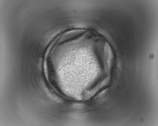 X0000112800066200909111245