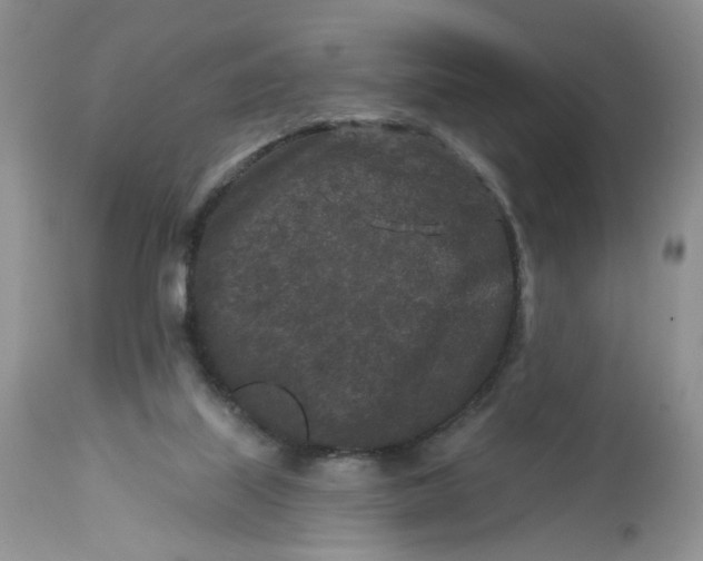 X0000112800067200909111245