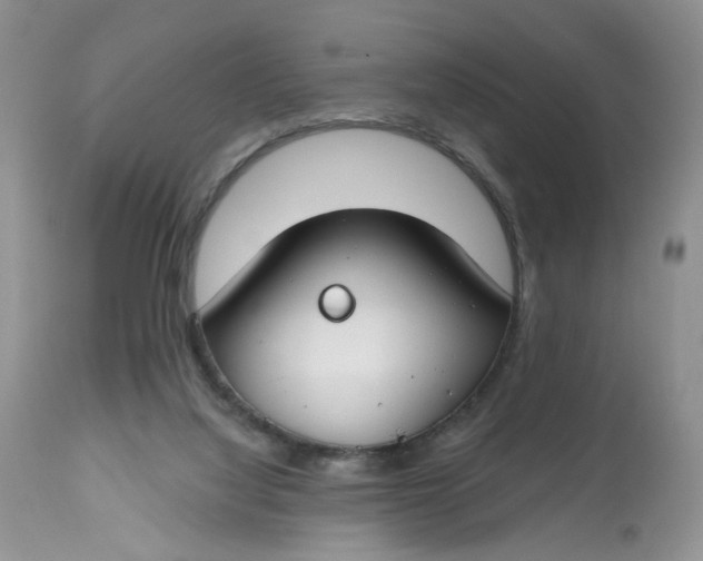 X0000112800068200909111245