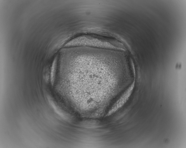 X0000112800069200909111245