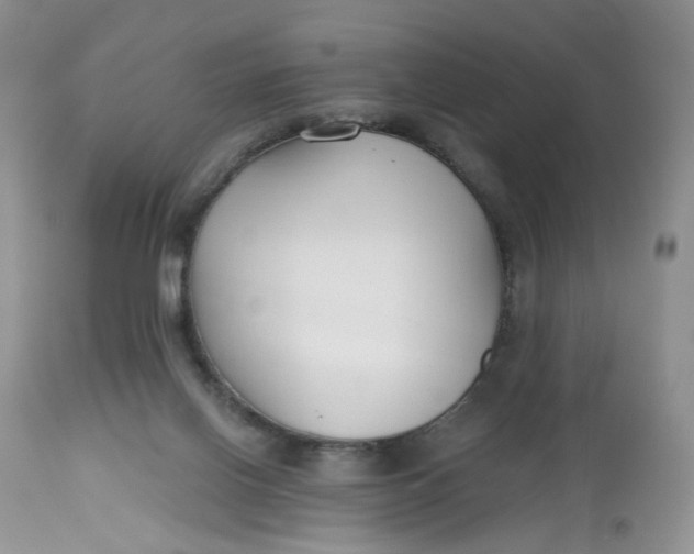 X0000112800070200909111245