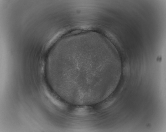 X0000112800072200909111245