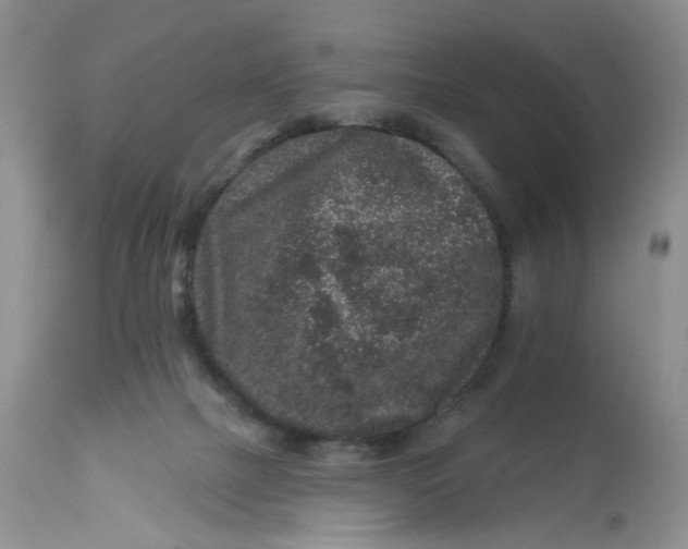 X0000112800073200909111245