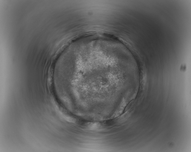 X0000112800074200909111245