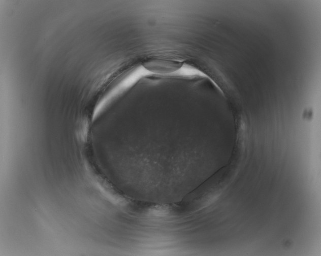 X0000112800076200909111245