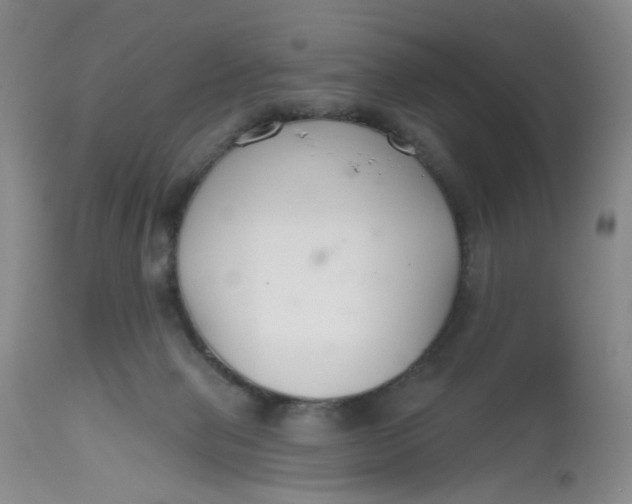 X0000112800077200909111245