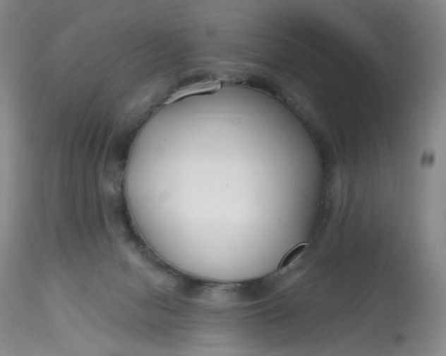 X0000112800078200909111245