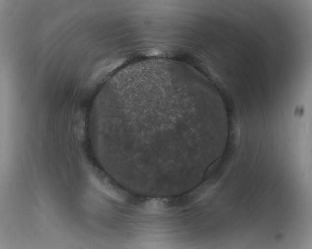 X0000112800080200909111246