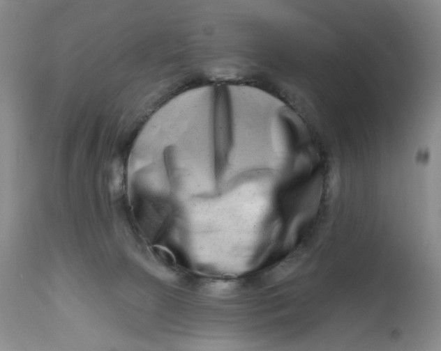 X0000112800081200909111246