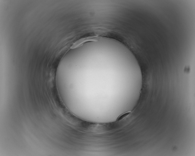 X0000112800082200909111246