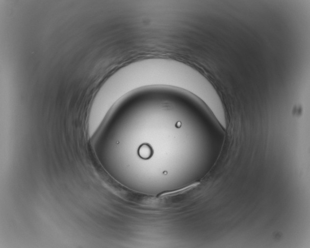 X0000112800084200909111246