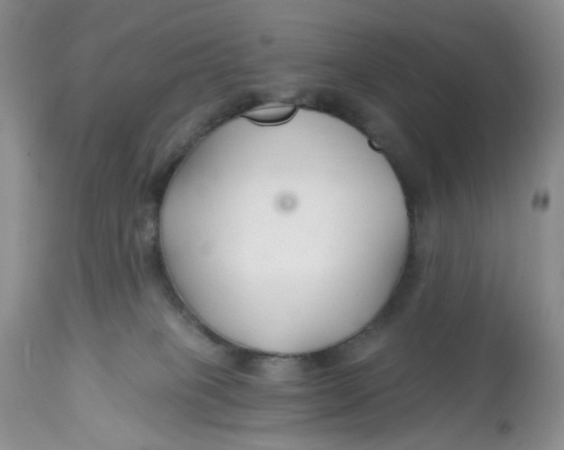 X0000112800085200909111246