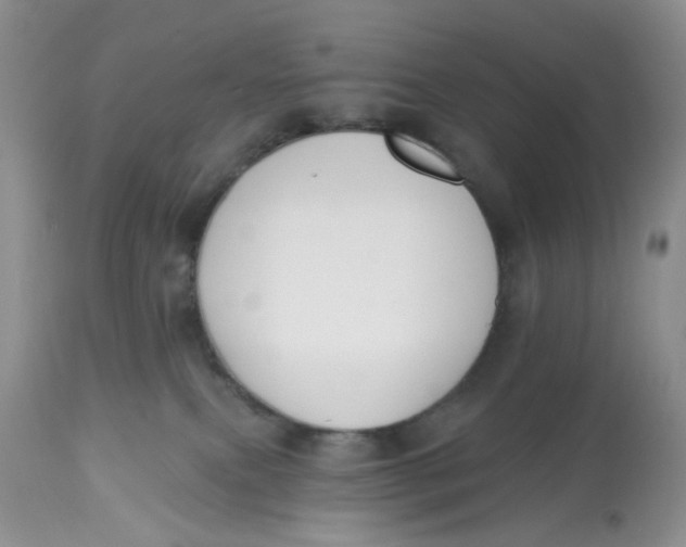 X0000112800087200909111246