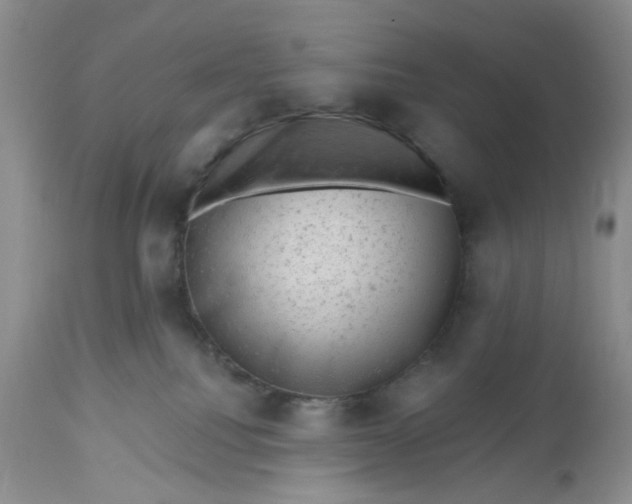 X0000112800088200909111246