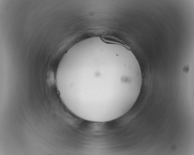 X0000112800089200909111246