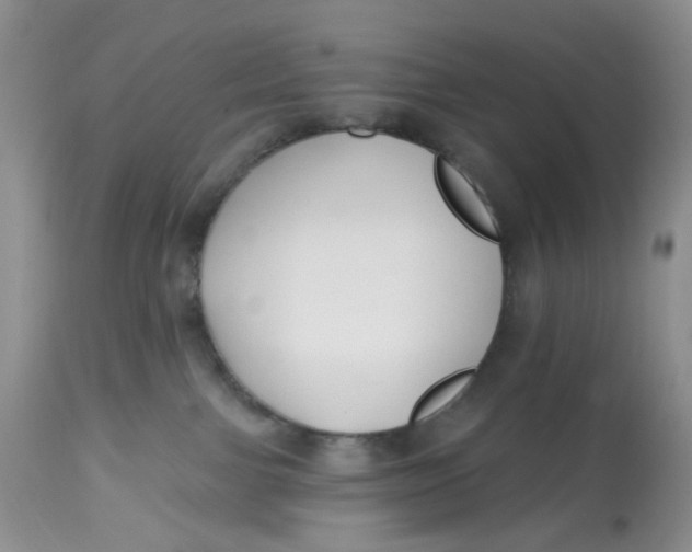 X0000112800091200909111246