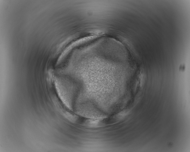 X0000112800093200909111246