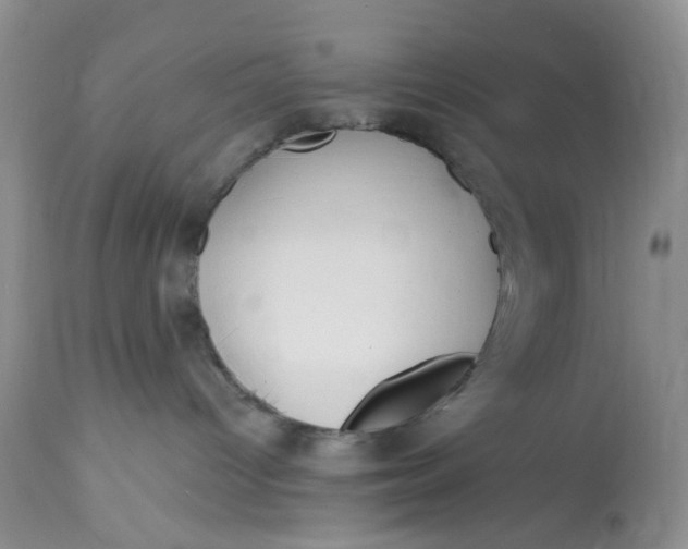 X0000112800096200909111246