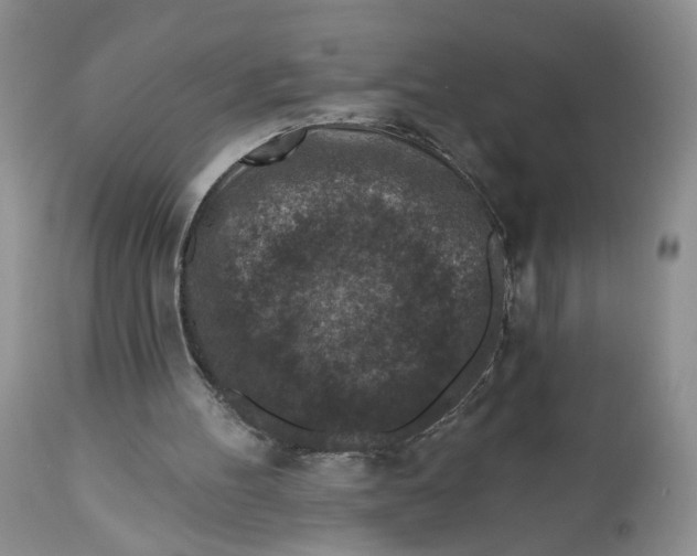 X0000112800100200909111245