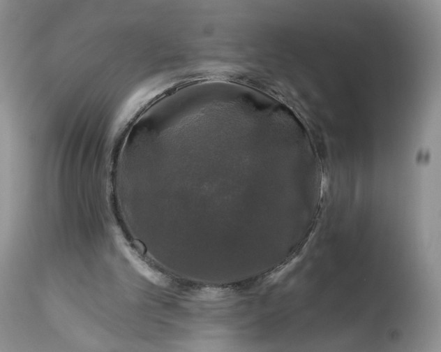 X0000112800101200909111245