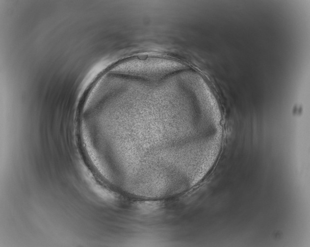 X0000112800102200909111245