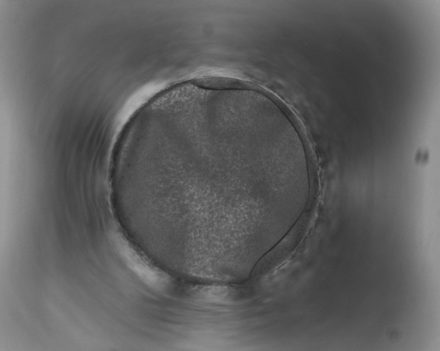 X0000112800104200909111245