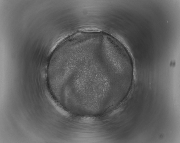 X0000112800105200909111245