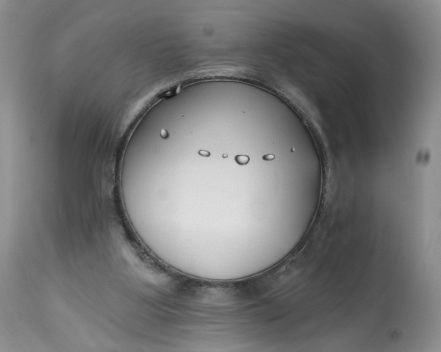 X0000112800107200909111245