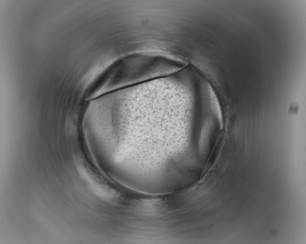 X0000112800108200909111245