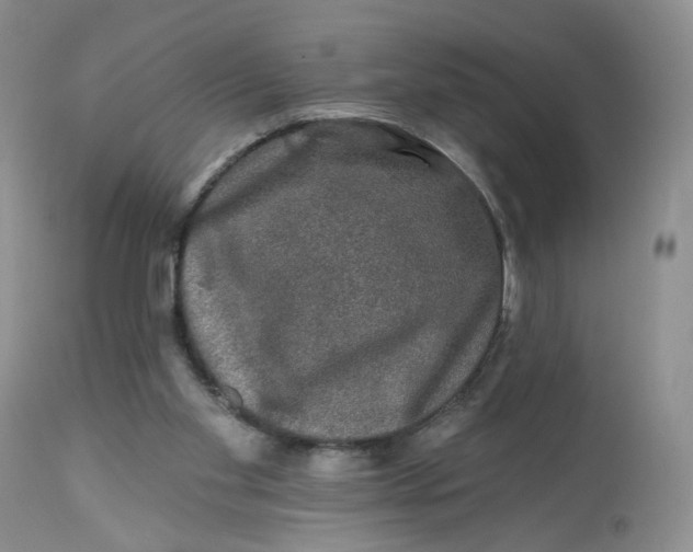 X0000112800109200909111245