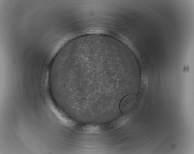 X0000112800110200909111245