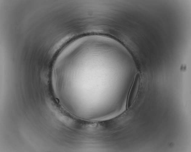 X0000112800112200909111245