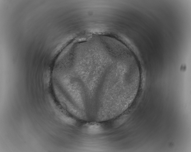 X0000112800113200909111245