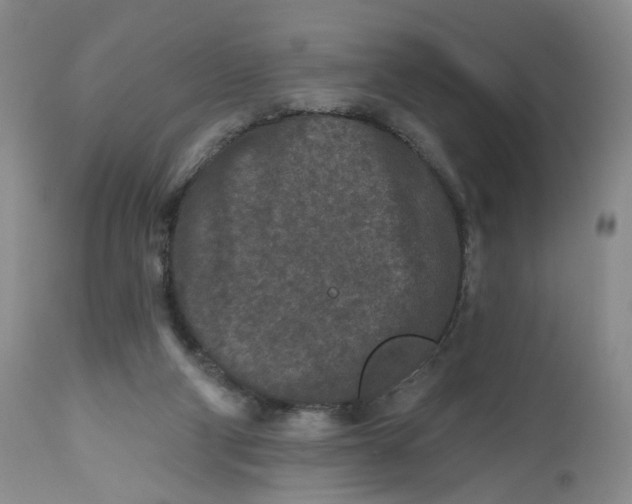 X0000112800114200909111245