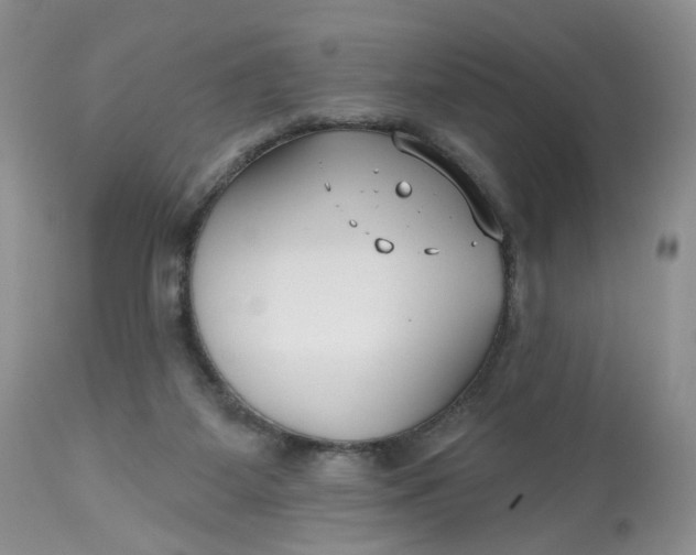 X0000112800115200909111245