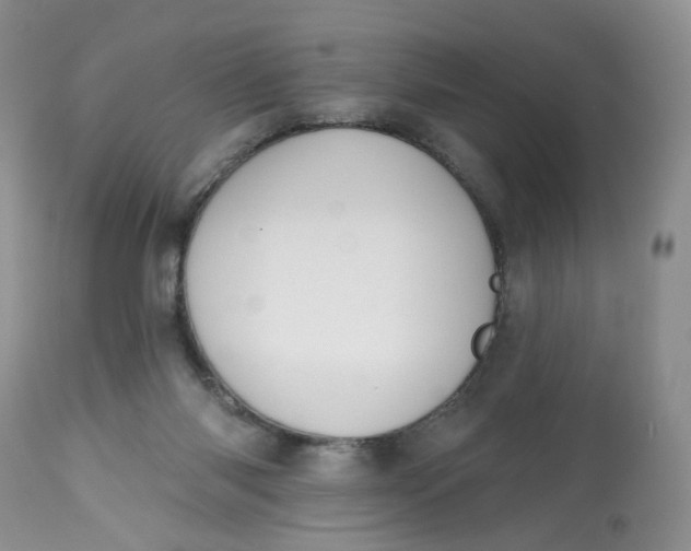 X0000112800118200909111245