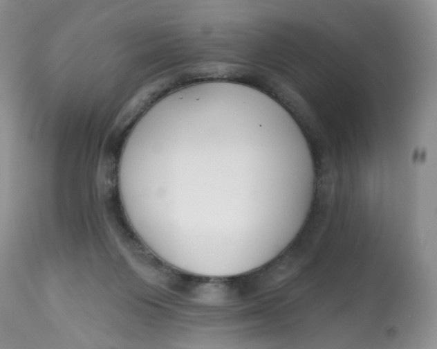 X0000112800119200909111245