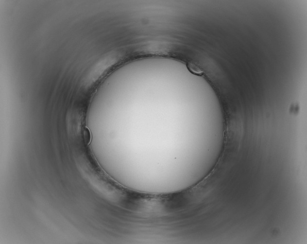 X0000112800120200909111245