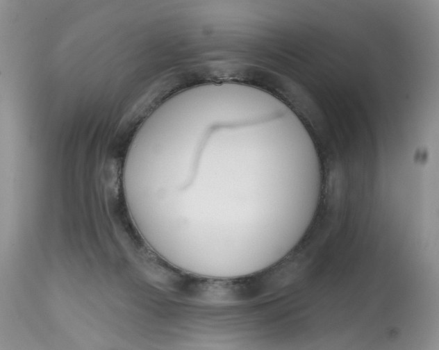 X0000112800121200909111245