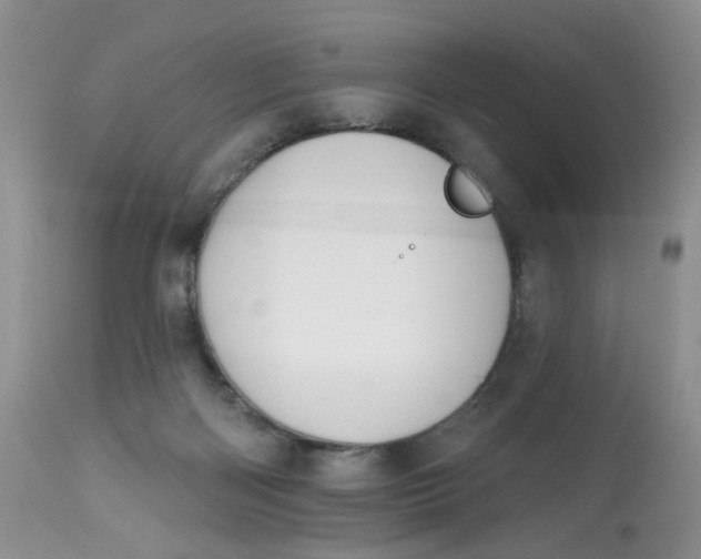 X0000112800122200909111245