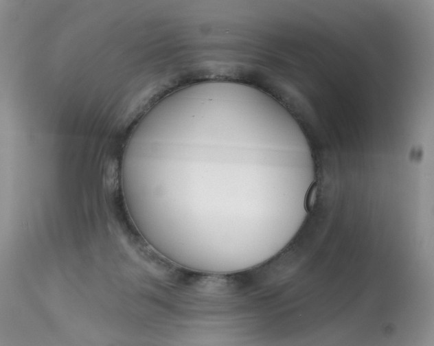 X0000112800123200909111245