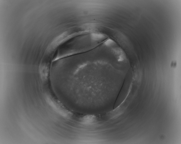 X0000112800124200909111245