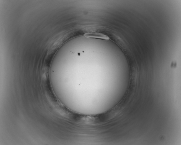 X0000112800125200909111245