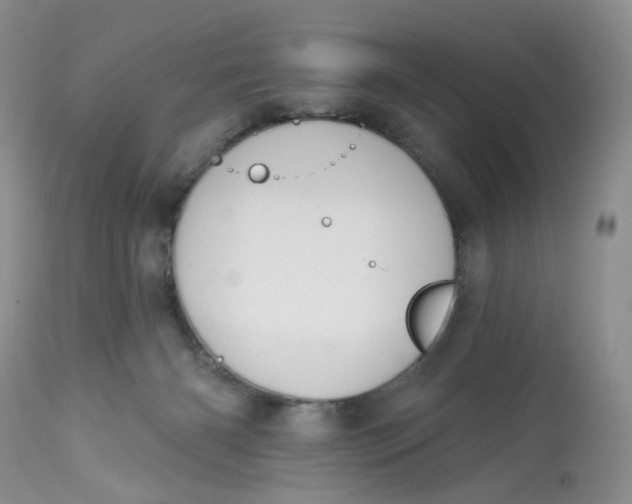 X0000112800126200909111245