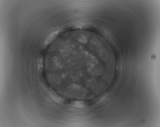 X0000112800127200909111245