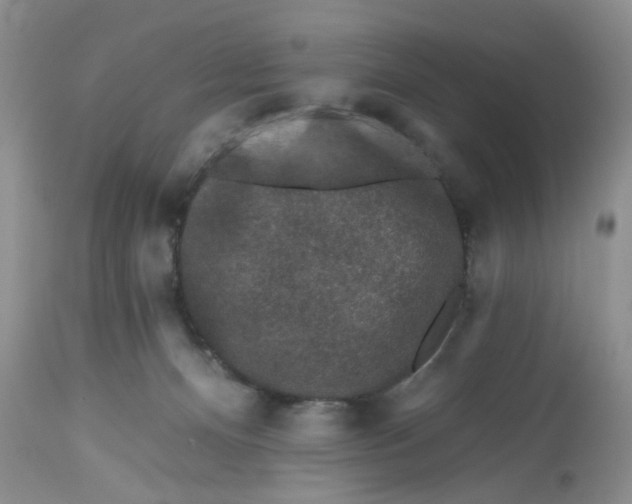 X0000112800128200909111245