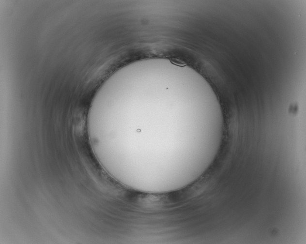 X0000112800129200909111245