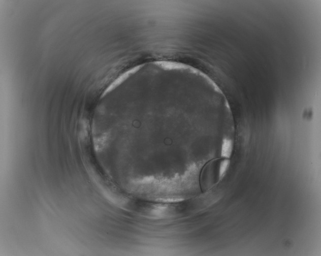 X0000112800130200909111245