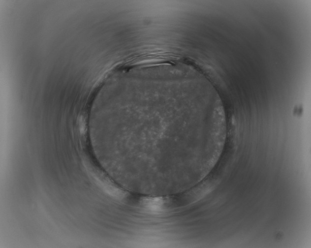 X0000112800131200909111245